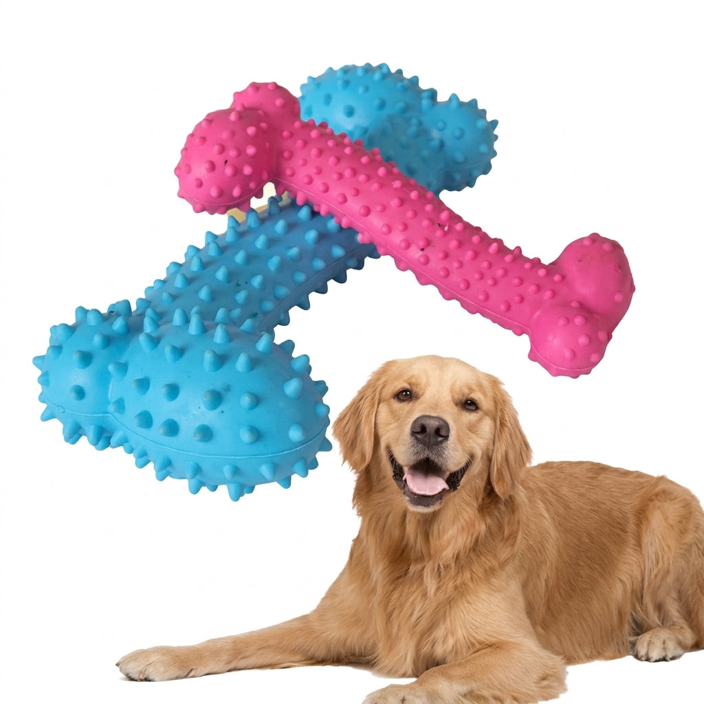 Dog Toys Bone Chewing Anti Bite and Grinding Training Games Interactive Toys Pet Supplies Accessories