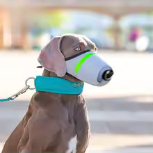 Hot Selling Nylon Breath Protector With Dust Block Daily Pet Supply
